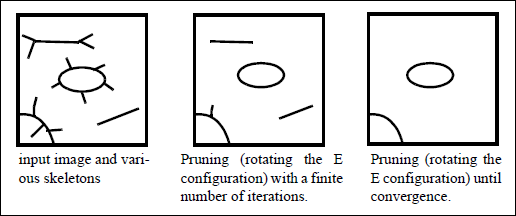 SoPruneProcessing2d_image01.png