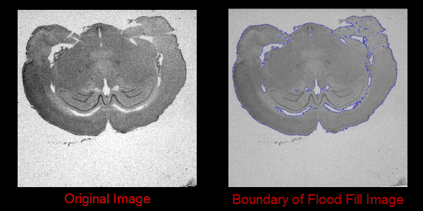 example_floodfill.png