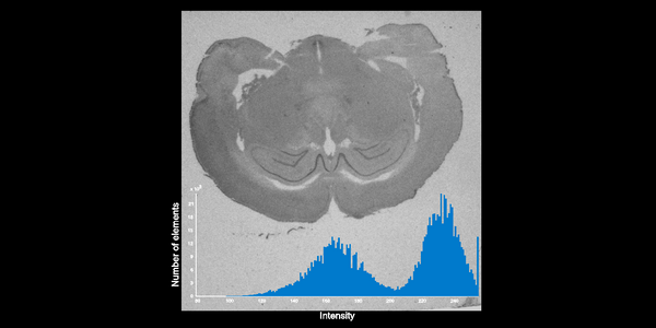 Image Histogram